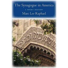 The Synagogue in America: A Short History, New York Univ Pr