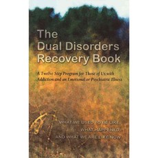 The Dual Disorders Recovery Book, Hazelden