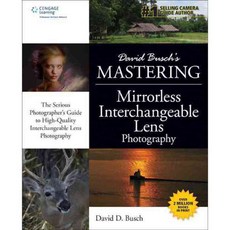David Busch's Mastering Mirrorless Interchangeable Lens Photography, Cengage Learning Ptr
