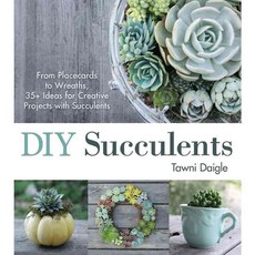 DIY Succulents: From Placecards to Wreaths 35+ Ideas for Creative Projects With Succulents