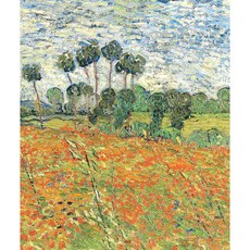 Biology of Plants, W H Freeman & Co