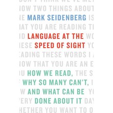 視覺速度的語言：我們如何閱讀為什麼這麼多人不能閱讀以及對此可以做些什麼, 基礎書籍