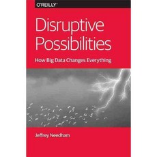Disruptive Possibilities: How Big Data Changes Everything, Oreilly & Associates Inc