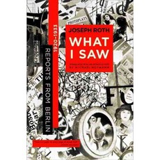 What I Saw: Reports from Berlin 1920-1933, W W Norton & Co Inc