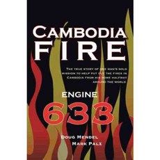 柬埔寨火災, 宇宙公司