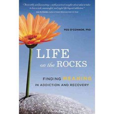 Life on the Rocks: Finding Meaning in Addiction and Recovery, Central Recovery Pr
