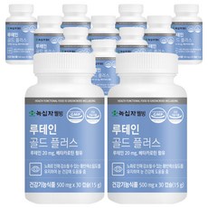 녹십자웰빙 루테인 골드 플러스, 30정, 12개