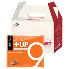 넛츠피아 나인믹스 플러스업 견과 선물세트, 20g, 15개