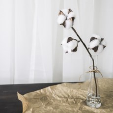 RYMD 3朵乾燥棉花+喇叭型花瓶 S號, 混色