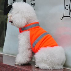 Aul Living狗狗安全螢光背心, 橘子