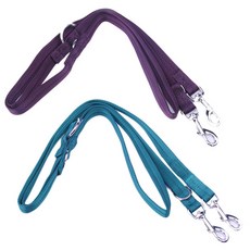 펫나인 강아지와 고양이 멀티 더블 리드줄 퍼플 + 그린, 1세트