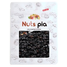 넛츠피아 건블루베리, 500g, 1개