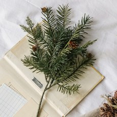 四家松樹叢, 綠色