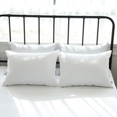 素色枕頭套 2入