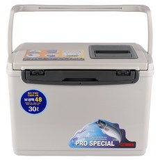 코스모스 낚시 레저겸용 아이스박스, WJ-715, 30L, 1개