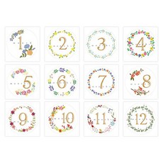 멜로우 베이비 먼스 스티커 ver.2, 플라워, 12매