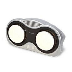 트리아이나 2구 눈부심 방지 실버램프 욕실난방기, TN-S2