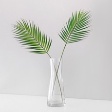 BLOOMING&ME 散尾葵 2入 + 曲線長玻璃瓶套組, 混合顏色