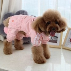 COCOAHONEY 犬用文字印花素色風衣, 粉色的