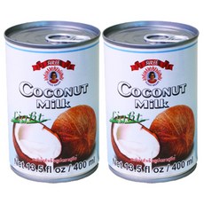 수리 코코넛 밀크, 2개, 400ml