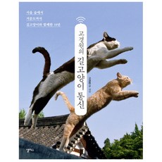 고경원의 길고양이 통신 : 서울 숲에서 거문도까지 길고양이와 함께한 10년, 앨리스, 고경원