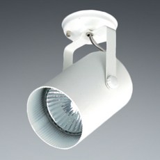 LED 圓筒 PAR30 直射式燈具, 白色