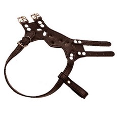 ZEZEPET 狗皮止吠器 XXL, Y121PDTM004, 1個