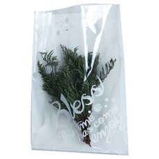 TINA PICNIC 享受包裝袋 20 x 28, 1個, 100件