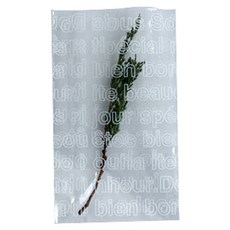 티나피크닉 불문 문구 투명 포장 봉투 9 x 15, 100개, 1개