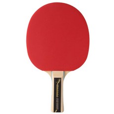 DONIC 乒乓球拍 WALDNER 500