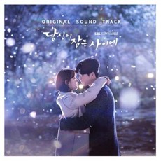 O.S.T - 당신이 잠든 사이에 SBS 드라마스페셜, 2CD