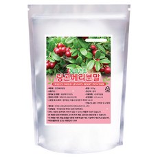 정우당 링곤베리분말, 200g, 1개