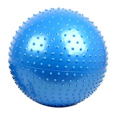 바디스컬쳐 마사지 짐볼, 블루