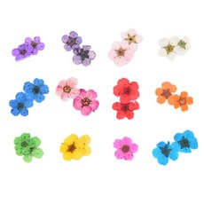 SM이노베이션 네일 드라이 플라워 조팝 12종, 혼합 색상, 1개