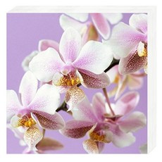 두성 듀니 디자인 냅킨 167711 33 x 33 cm, 혼합 색상, 1개