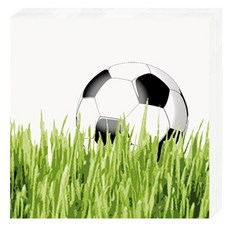 두성 듀니 디자인 냅킨 162739 33 x 33 cm, 혼합 색상, 1개