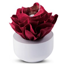 엠아이디자인 복합식 미니가습기 HMD-0016, HMD-0016(레드)