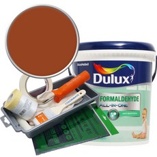 듀럭스 안티 포름알데히드 올인원 페인트 3L 세트, Tinder Box 50YR 12/406