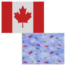 印尼 Bella 矽膠餐墊 瓢蟲 + 加拿大國旗, 混合顏色, 385 x 285 mm, 2個
