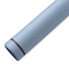 필립로지스틱 시크라인 플라워 포장지, 블루, 10개입