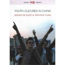 Youth Cultures in China 페이퍼북, Polity Pr