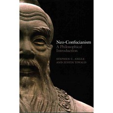 Neo-Confucianism: A Philosophical Introduction 페이퍼북, Polity Pr