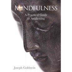 Mindfulness: A Practical Guide to Awakening 양장, Sounds True
