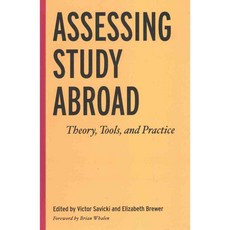 Assessing Study Abroad: Theory Tools and Practice 양장, Stylus Pub Llc