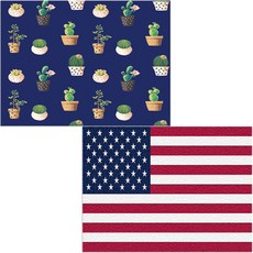 Bellamusic 矽膠餐墊 美國國旗 + 多肉花盆, 混合顏色, 385 x 285 mm, 1個