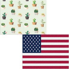 Bellamusic 矽膠餐墊 美國國旗 + 多肉仙人掌, 2, 385 x 285 mm, 1個
