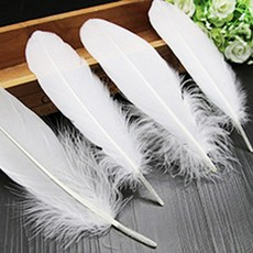 Libre 蠟燭擴香器香味羽毛 10p, 白色, 10個