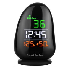 Smart Pebble PM-01超細粉塵儀, 1個