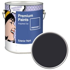 노루페인트 팬톤 실외 벽면 저광 페인트, 19-0303 Jet Black, 4L, 1개