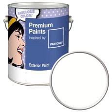노루페인트 팬톤 실외 벽면 저광 페인트, 11-4201 Sun White, 4L, 1개